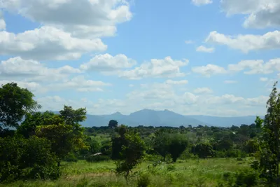 DSC_9653 (Large).JPG